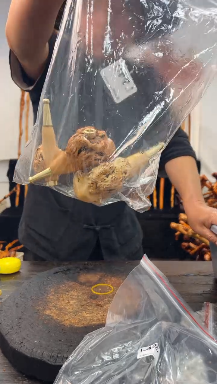 黑果木其他黑果木212