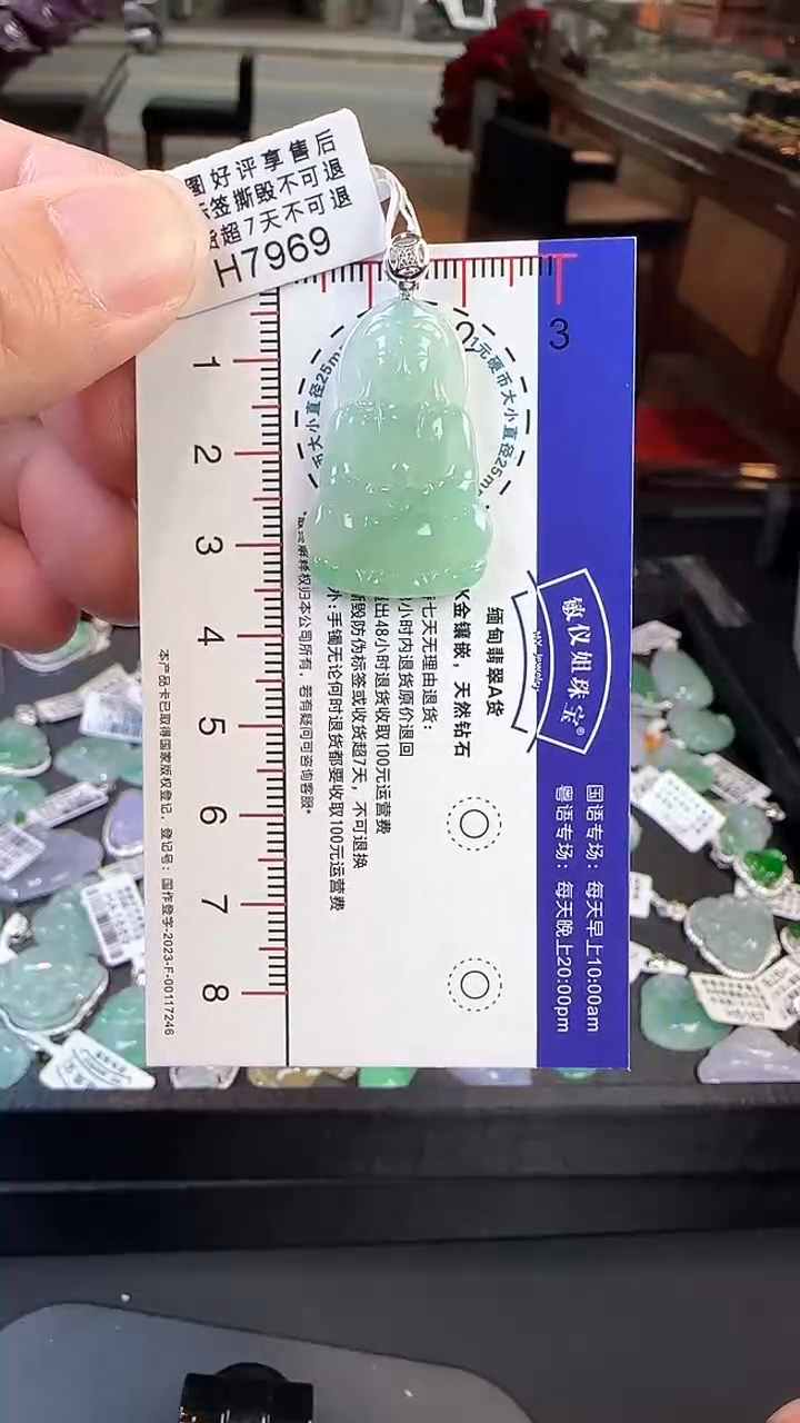 【闪购商品】翡翠颈饰18K金镶嵌/H7969观音
