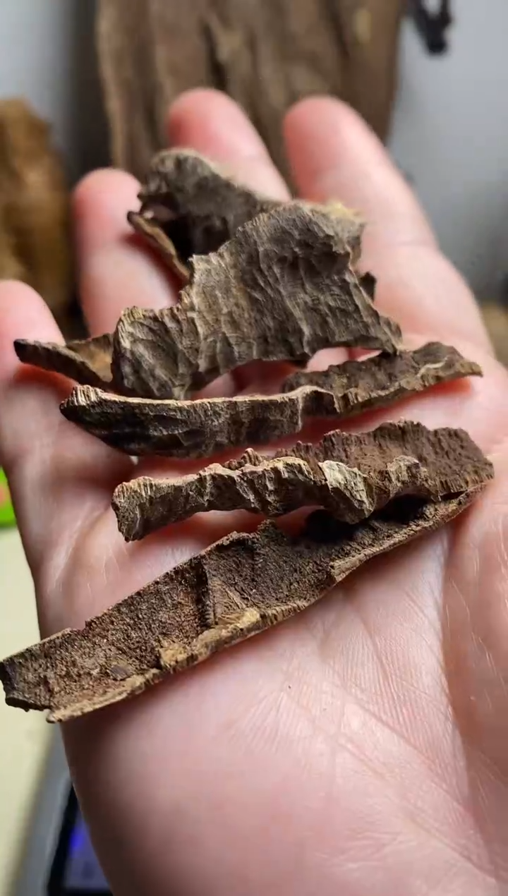 【闪购商品】沉香手把件海南沉香虫漏料5克