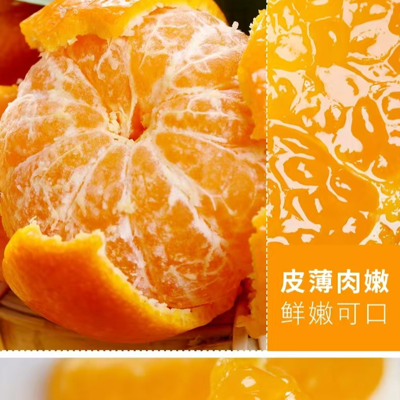 广西沙糖桔 5斤 净重【宇哥果仓】y