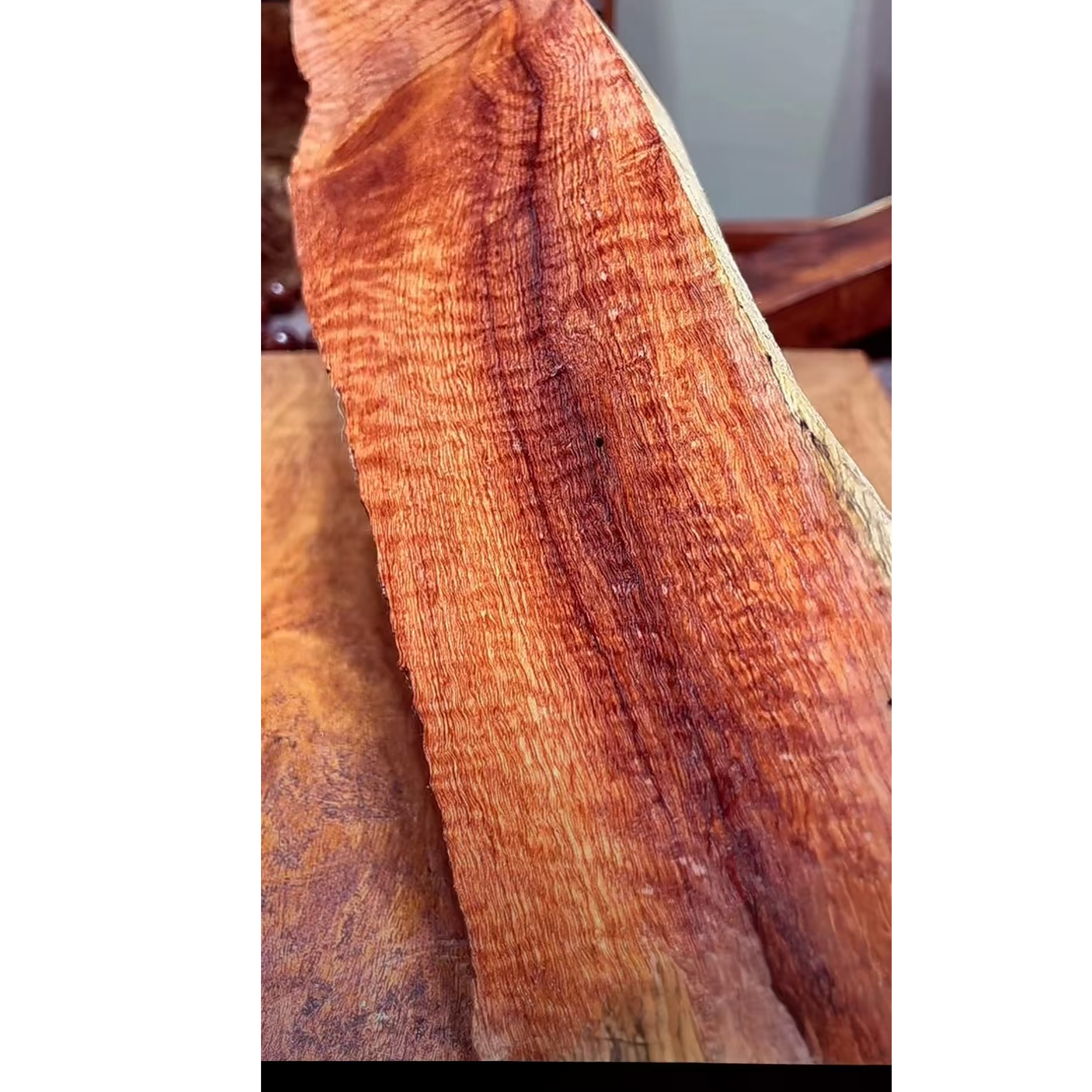 大果紫檀，缅甸花梨