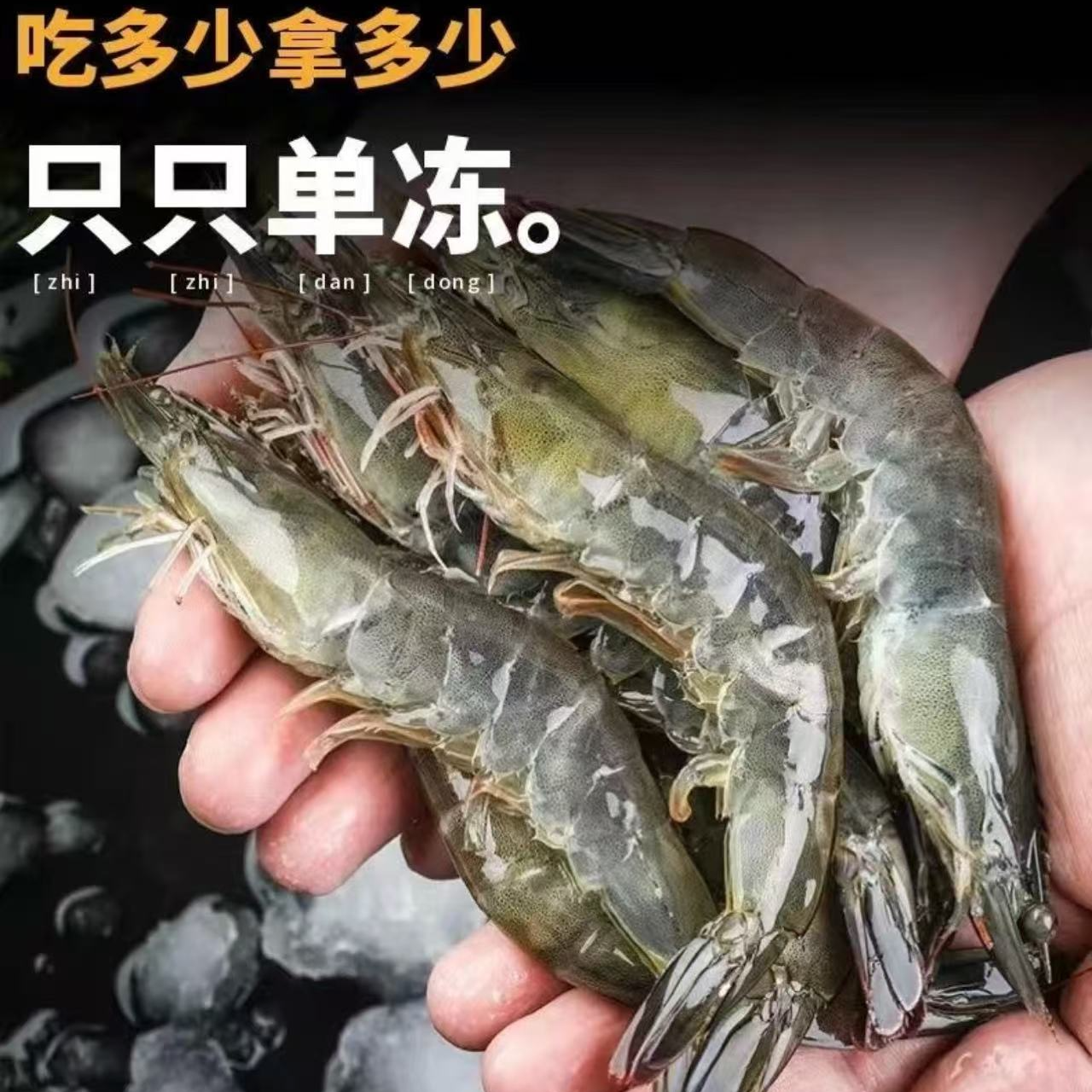 2030海虾每斤10-15只左右速冻锁鲜发货到手4斤 13-16cm左右顺丰d2