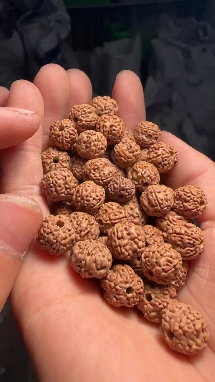 金刚菩提手串非全品老树梅花散籽11-12mm一份一百颗