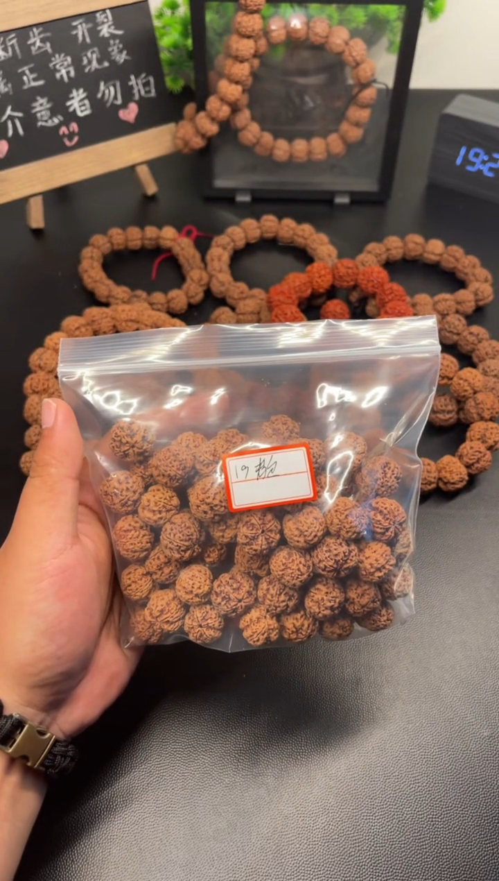 手串金刚菩提19梅花散籽60颗