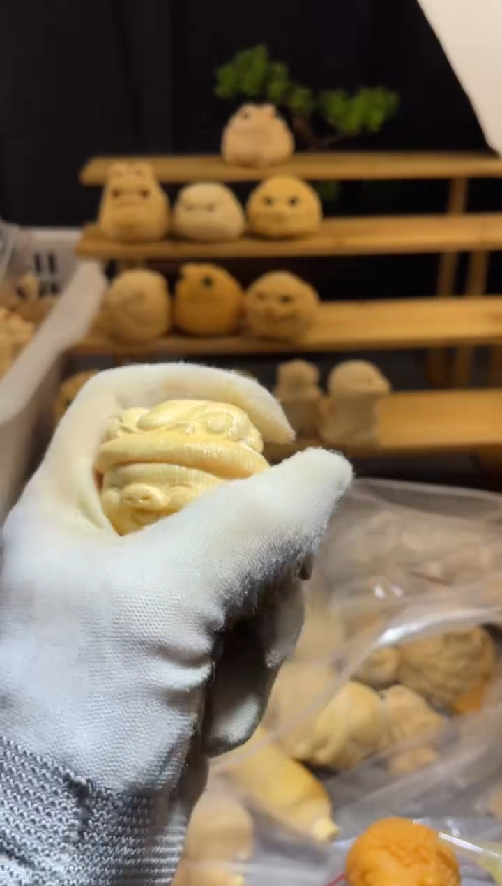 竹小猪11111111111111