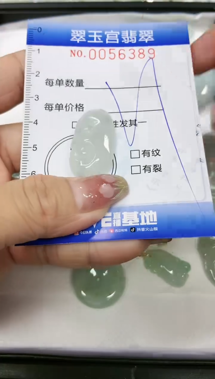 【闪购商品】翡翠颈饰未镶嵌闪购0056389