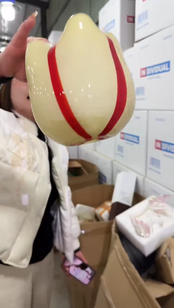 【闪购商品】藤优品花器T-早10