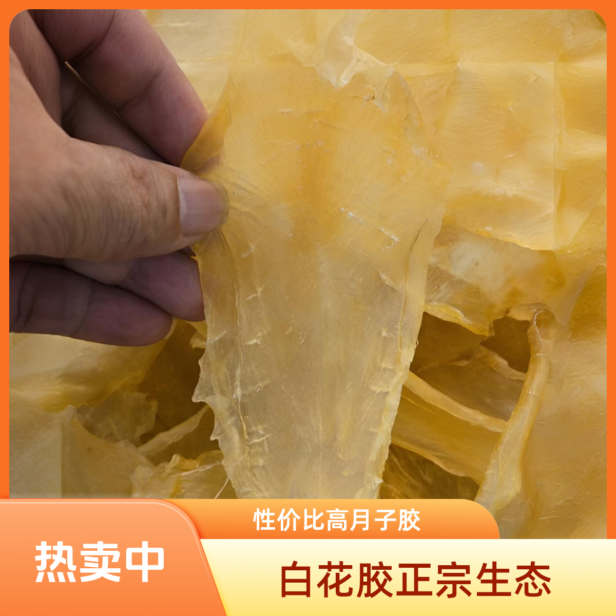 正宗渔民自晒白花胶片，性价比高，原生态月子胶