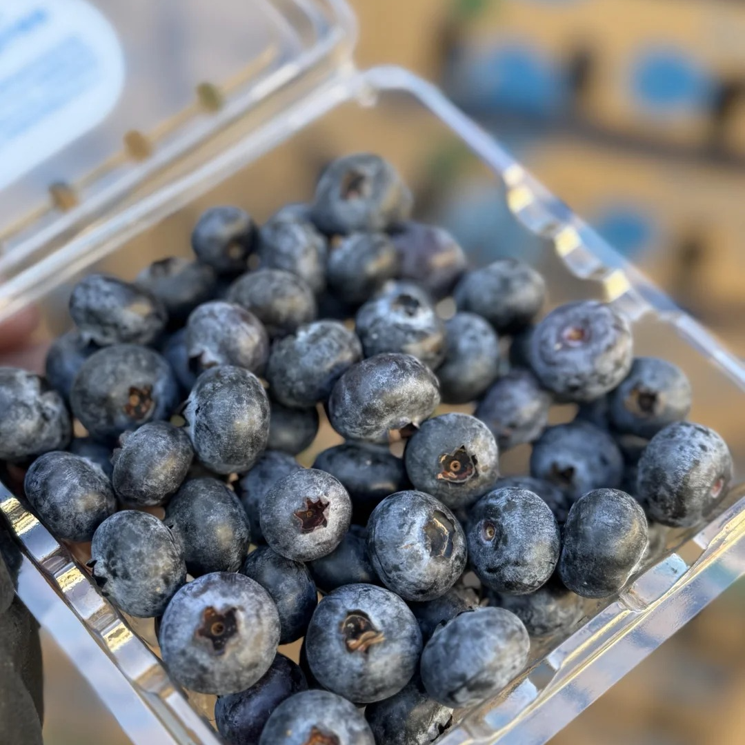 【巨好吃】云南怡颗莓花香009蓝莓14mm+ 12盒 新疆包邮