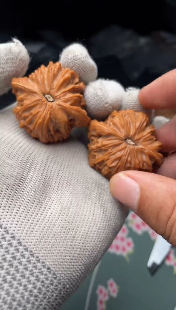 核桃a66  磨盘   40尺