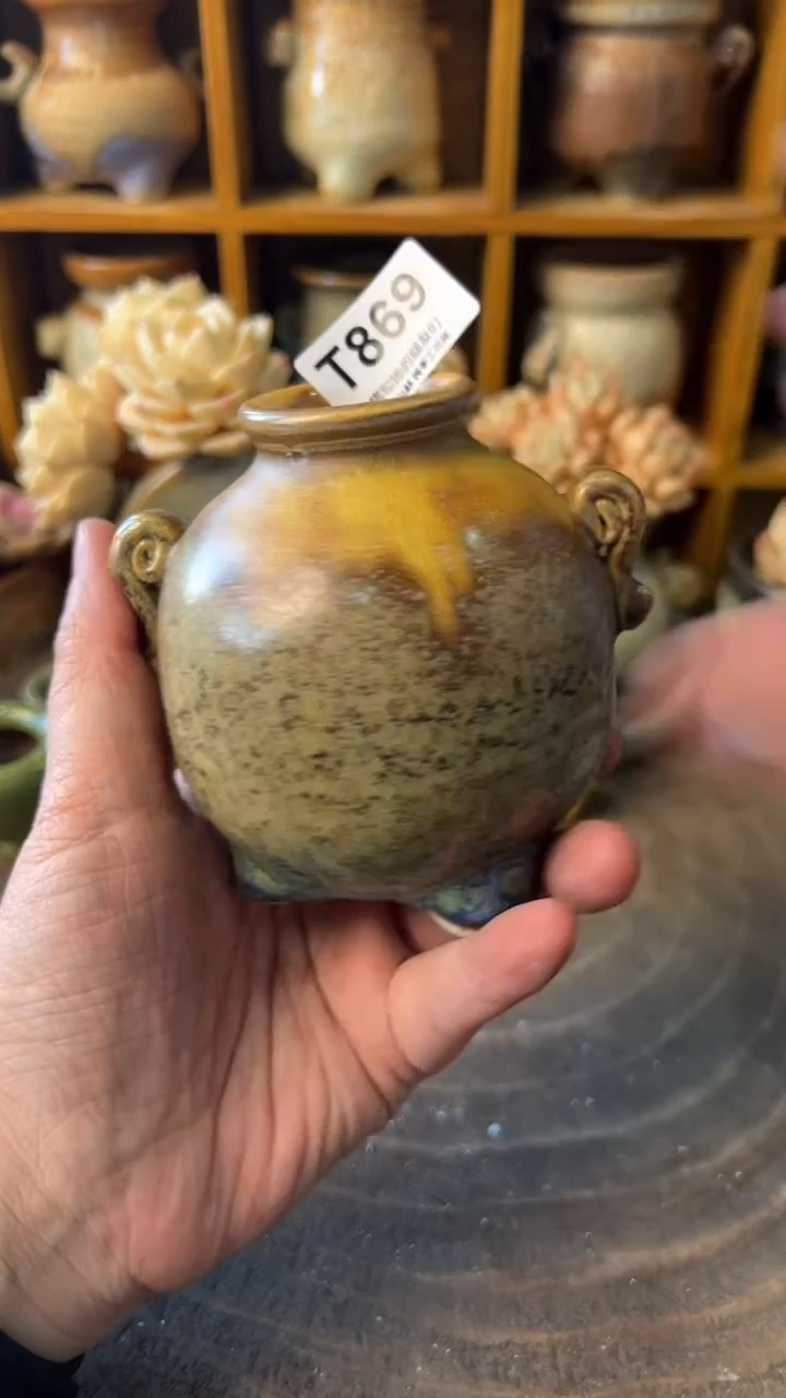 869【多肉花盆多肉盆】