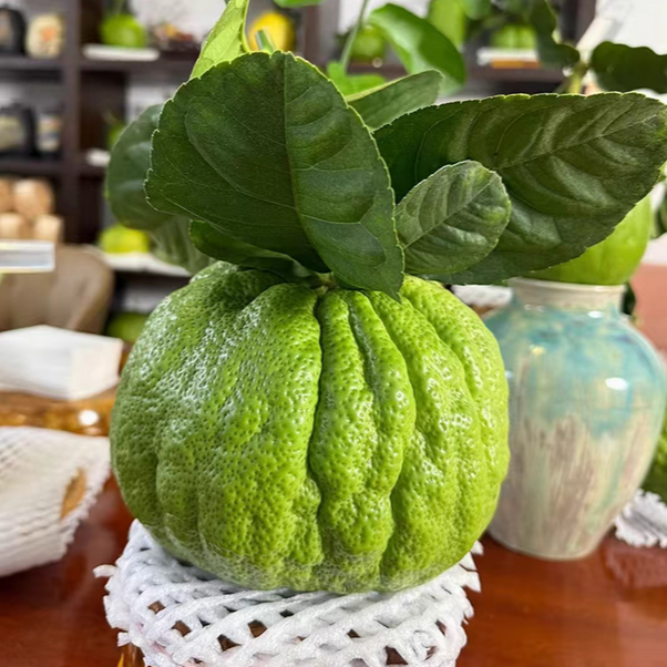 云南农家自种香橼果  （个别有瑕疵不售后介意勿拍！）  