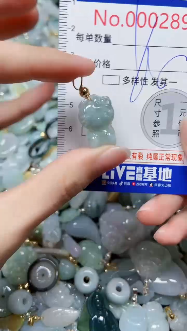 【闪购商品】翡翠颈饰未镶嵌闪购00002898