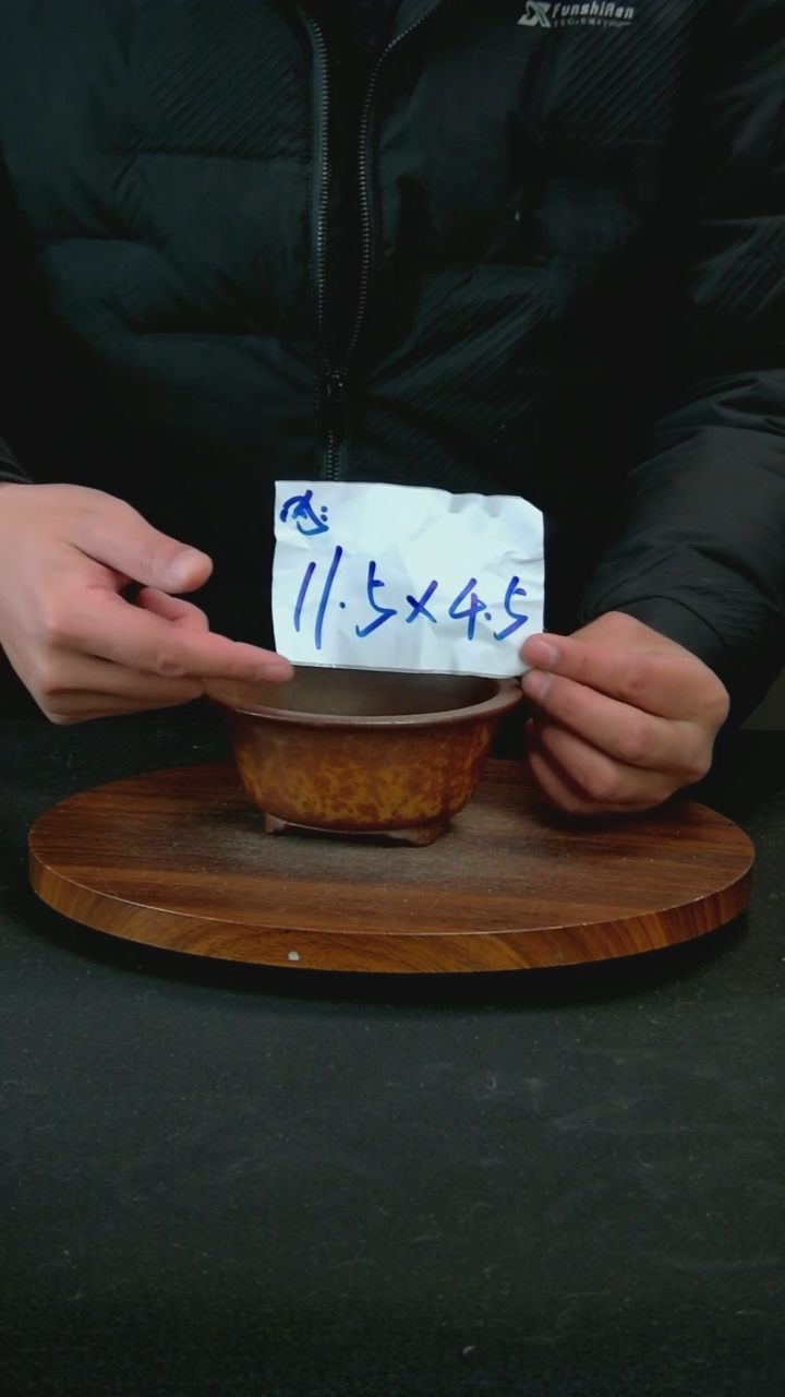 【闪购商品】紫砂G16