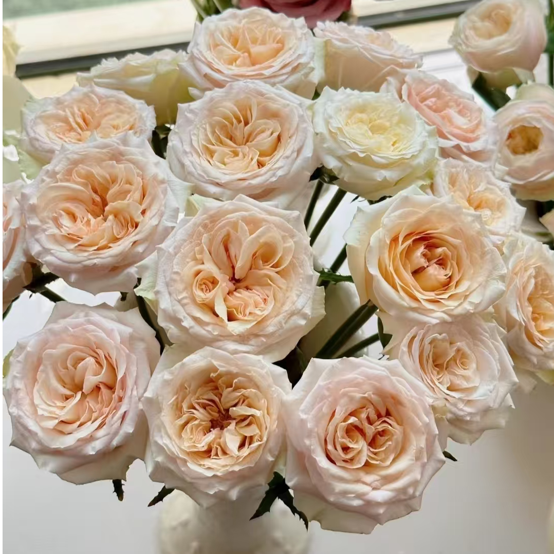 【拾季】1单顺丰冷链包邮2单送配草3单送配花4单送10支玫瑰