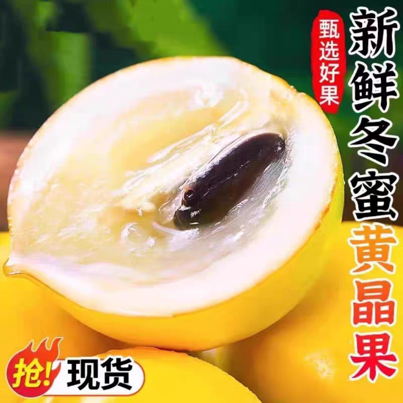（福利大果）云南西双版纳新鲜现摘黄晶果牛奶果当季黄金果孕妇水果