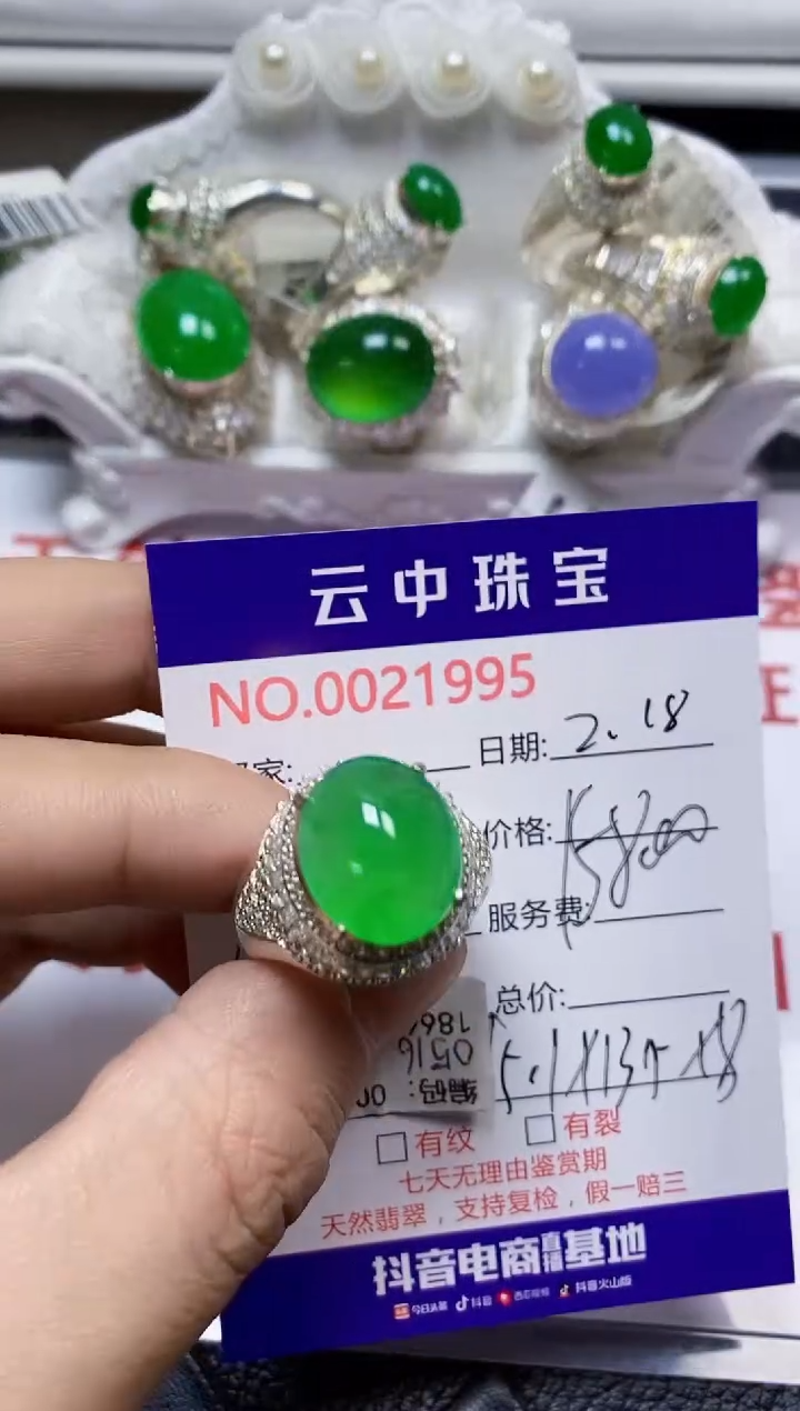 【闪购商品】翡翠戒指未镶嵌/19950000