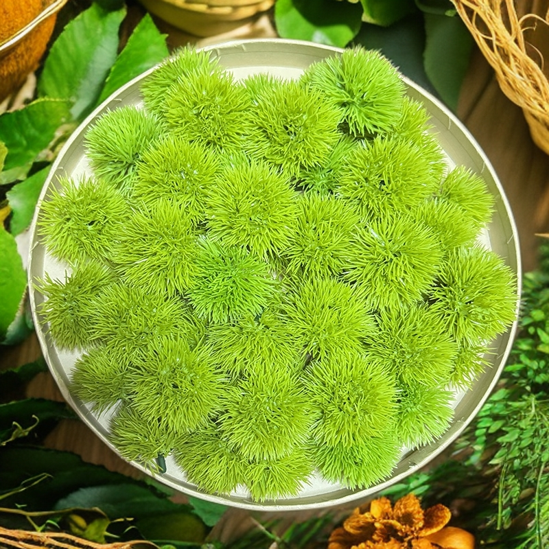 FEIANG/菲昂仿真绿毛球小绿叶三叉叶水果打包拼装礼盒点缀绿叶子