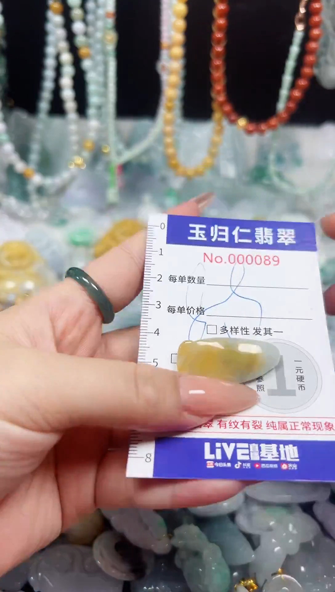 颈饰未镶嵌翡翠118