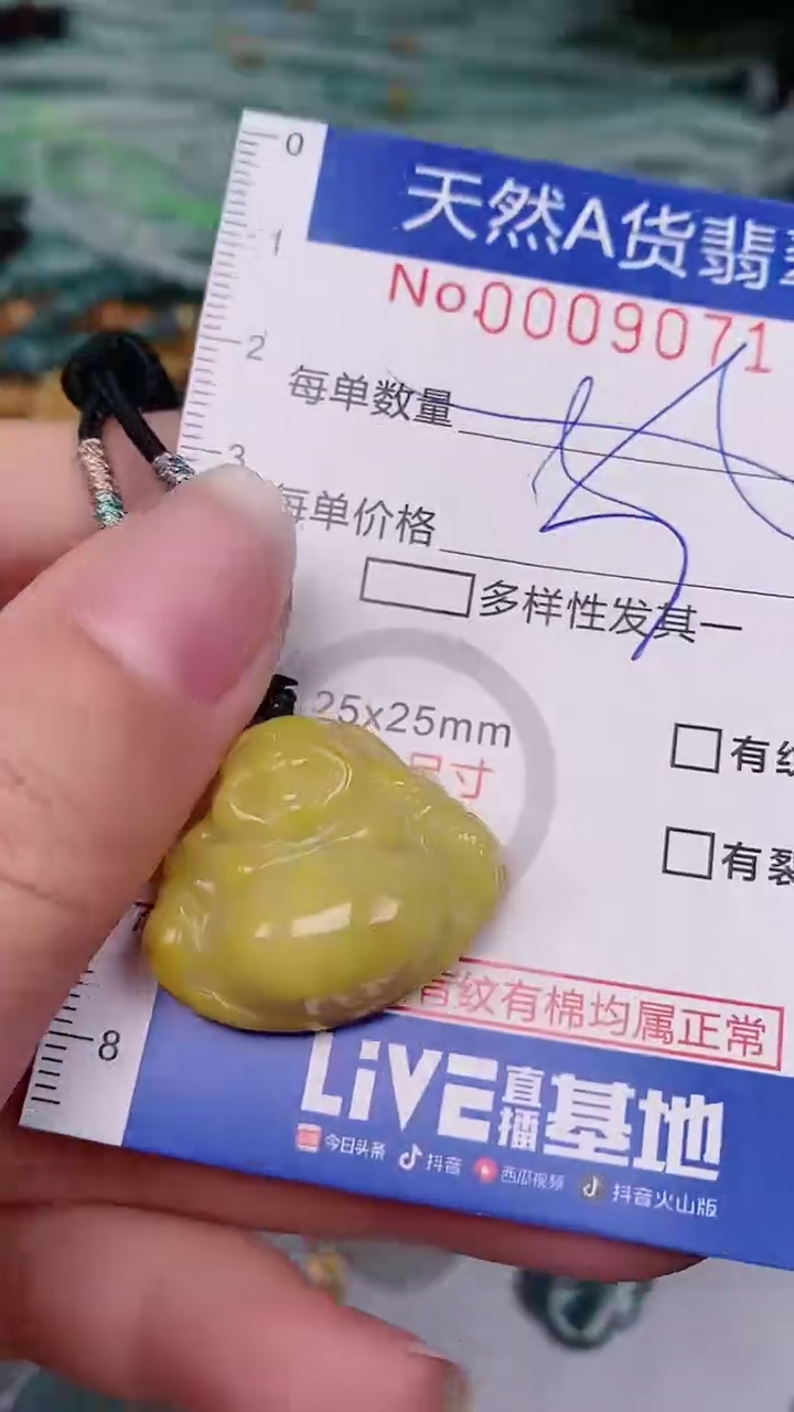 【闪购商品】翡翠颈饰未镶嵌00009071