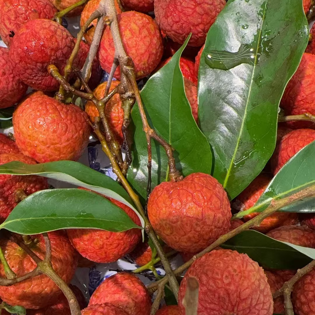 白糖罂荔枝（480-520g）荔枝同城送