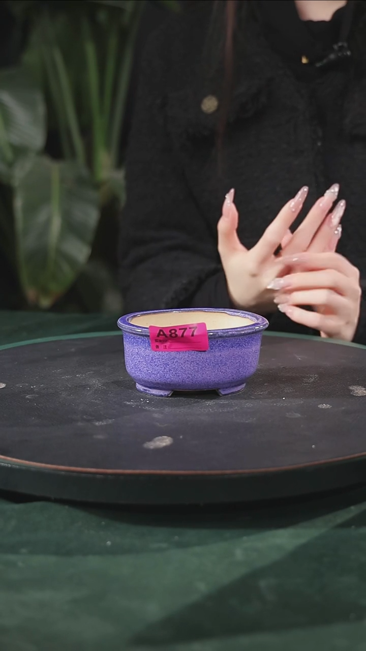 【石湾花盆】掌中宝877