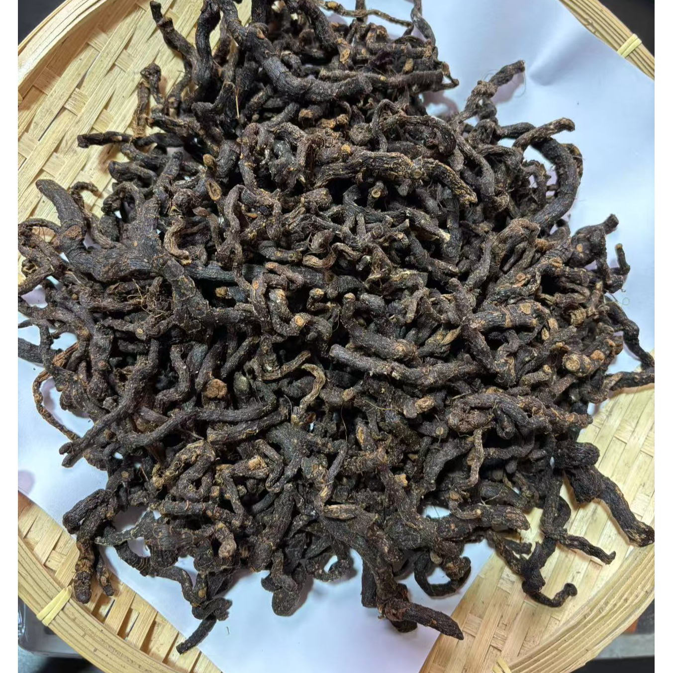 绿玉竹  少女竹   终身少女脸  九蒸九晒   1