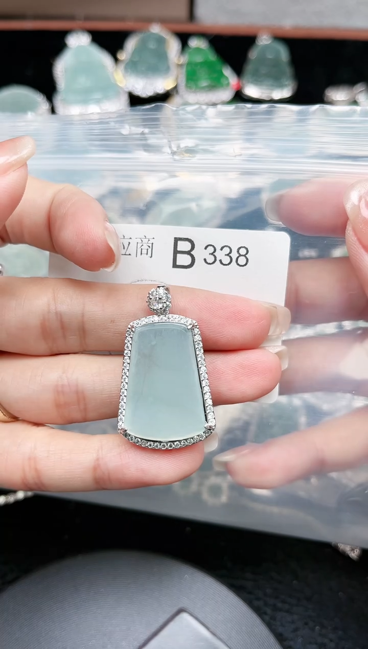 【闪购商品】翡翠颈饰未镶嵌338赠皮绳