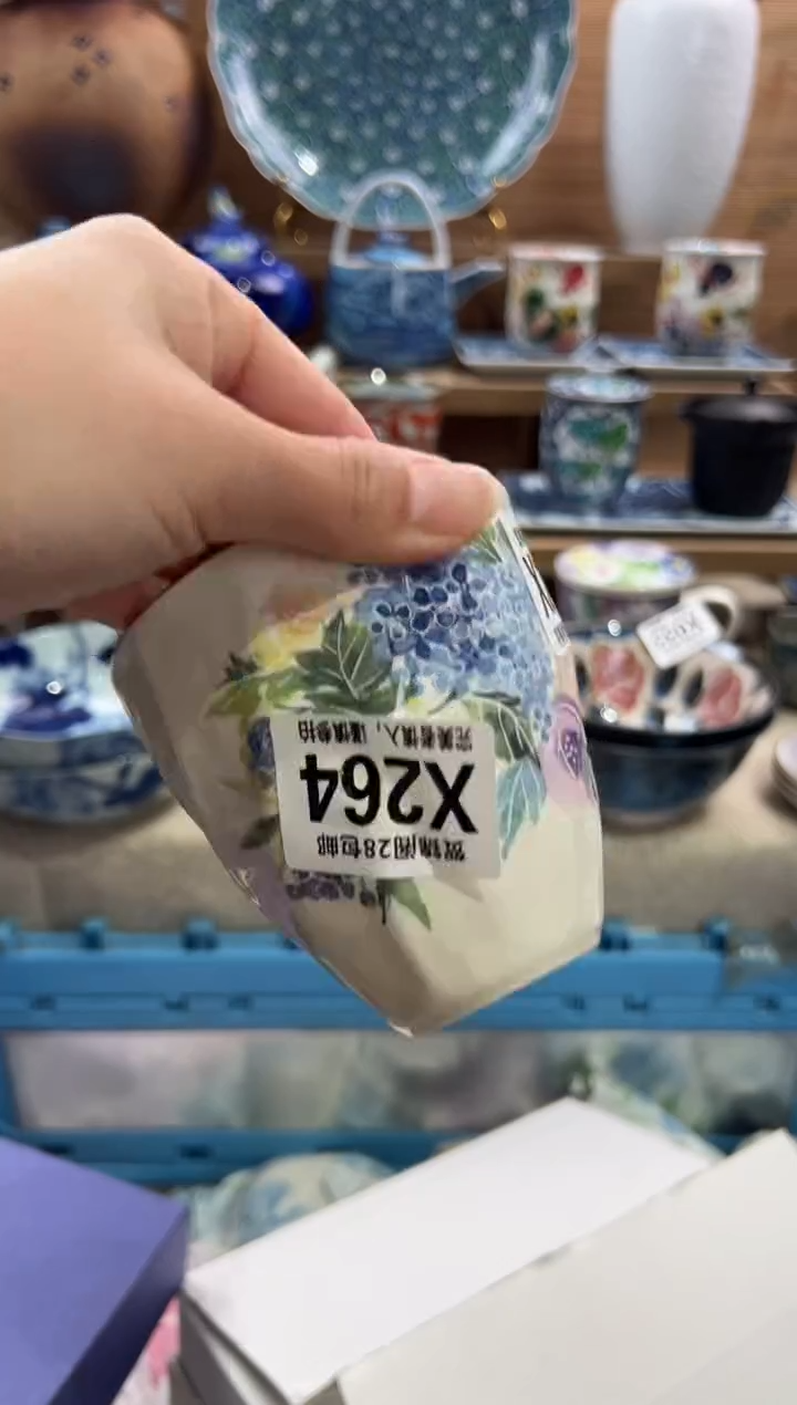 瓷片～*～       X264