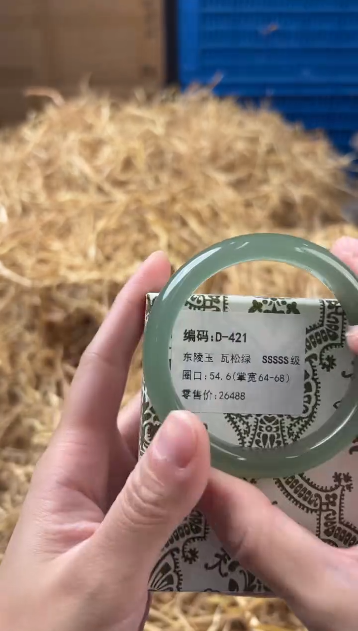 未镶嵌手镯石英质玉D-421