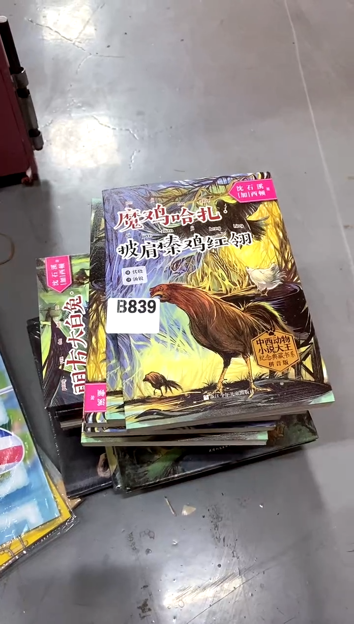 沈朋飞直播编号839