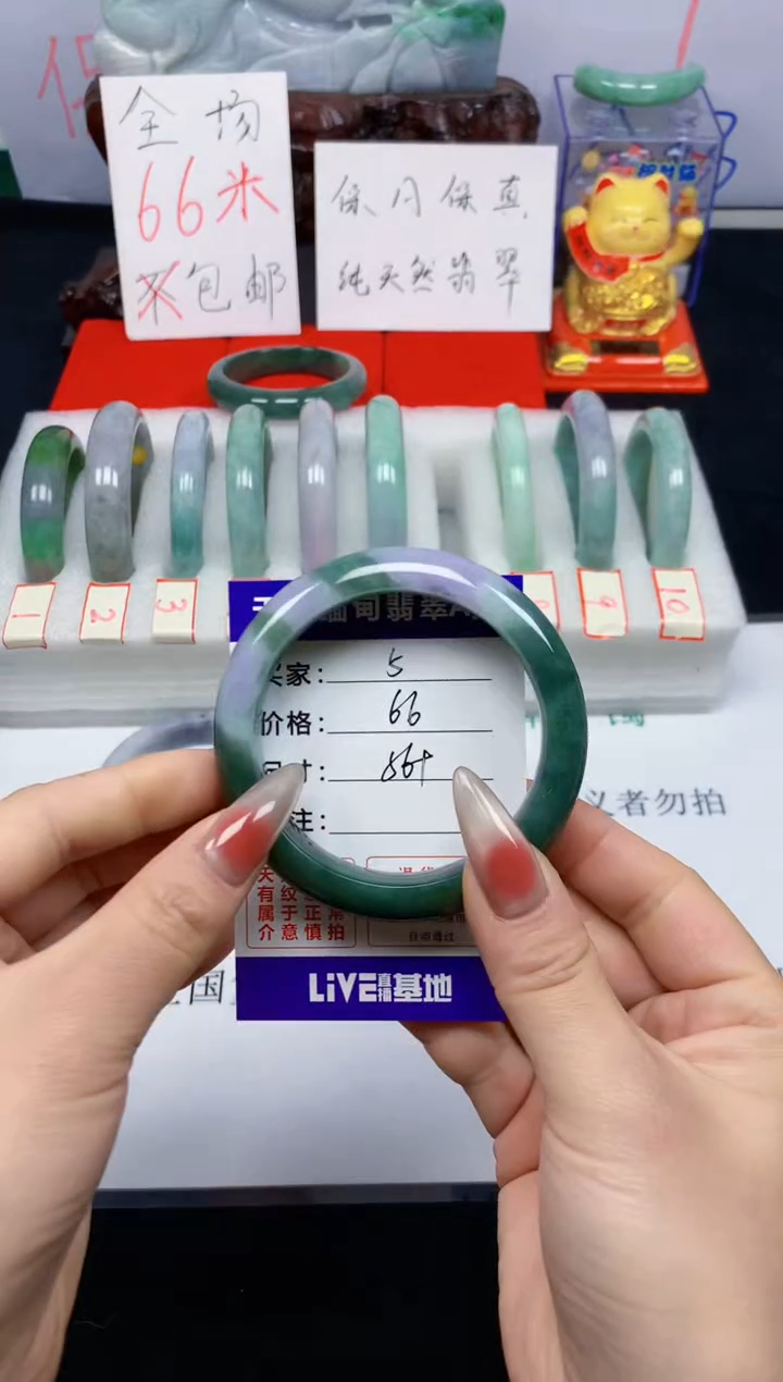 未镶嵌手镯翡翠5