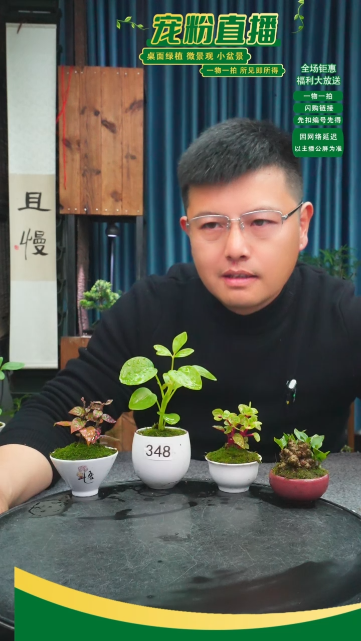 无花朵鹿****铺苔藓微景观348号