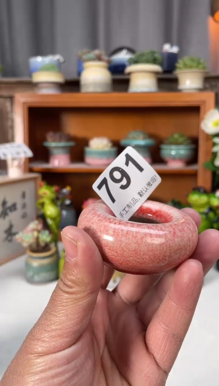 瓷片791小芳直播编号