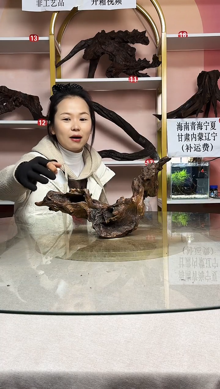 0鱼缸造景沉木A932