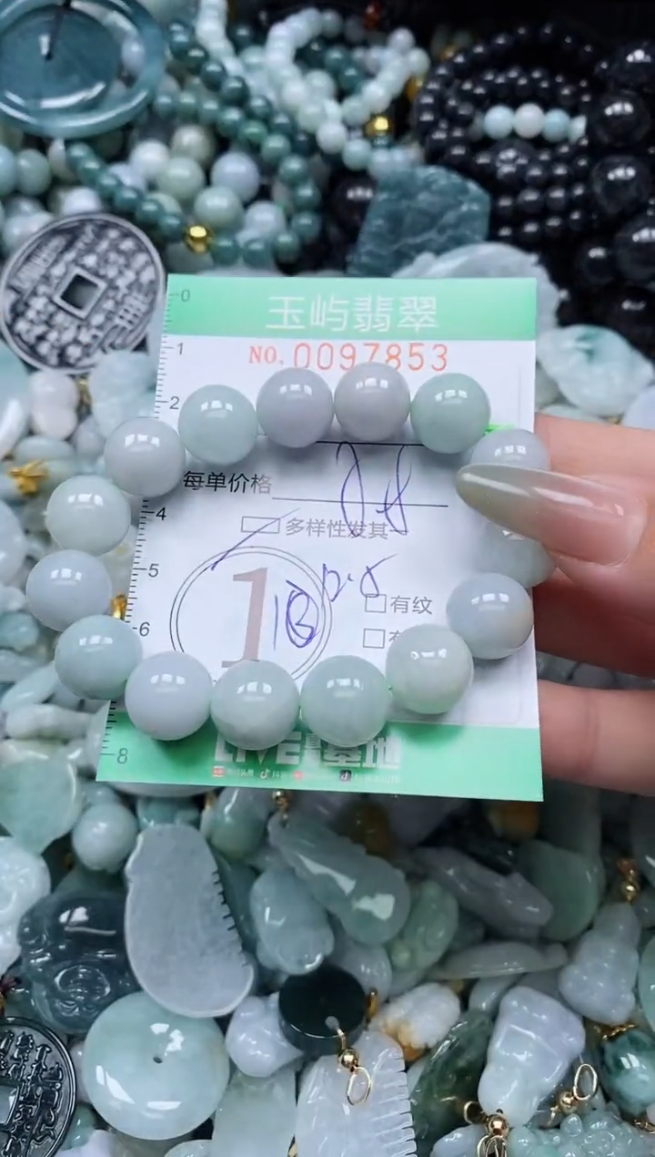 【闪购商品】翡翠未镶嵌颈饰闪购0097853多样性发其一