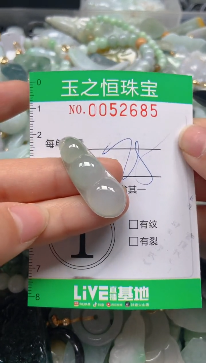 【闪购商品】翡翠颈饰未镶嵌闪购0052685