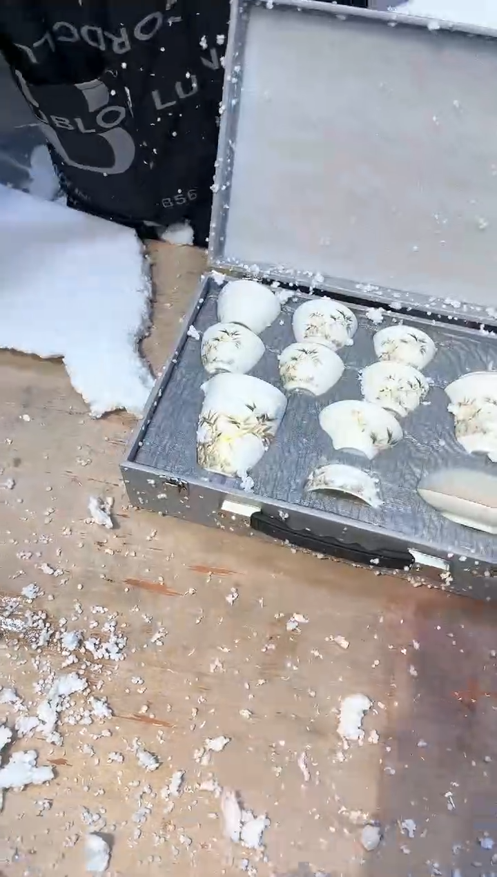 【闪购商品】其他@@@@@@@@@@@@@@@