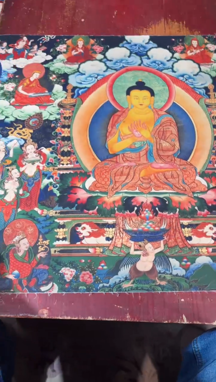 卷轴画龙妹的唐卡tk16