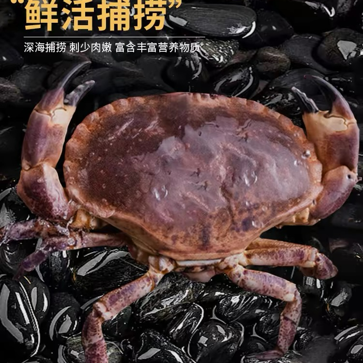 新鲜面包蟹2只共3-3.5斤充氧气发货个别断脚介意勿拍保鲜不保活