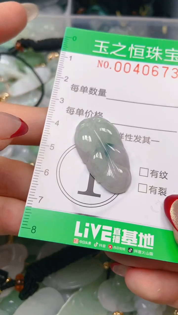 【闪购商品】翡翠颈饰未镶嵌闪购0040673