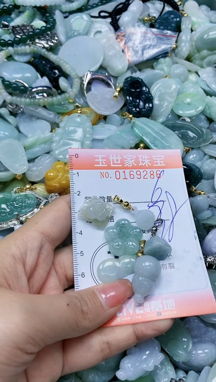 【闪购商品】翡翠颈饰未镶嵌闪购0169286