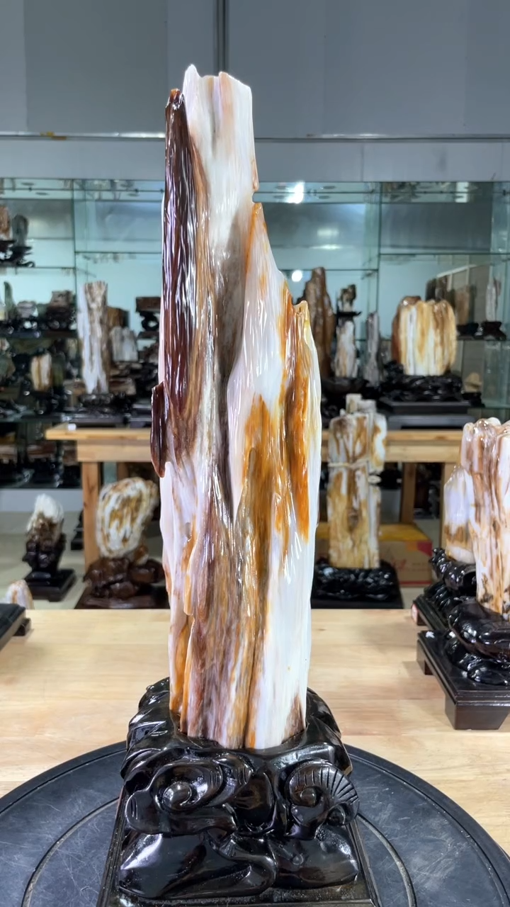 【闪购商品】硅化玉珠宝奇石未镶嵌680