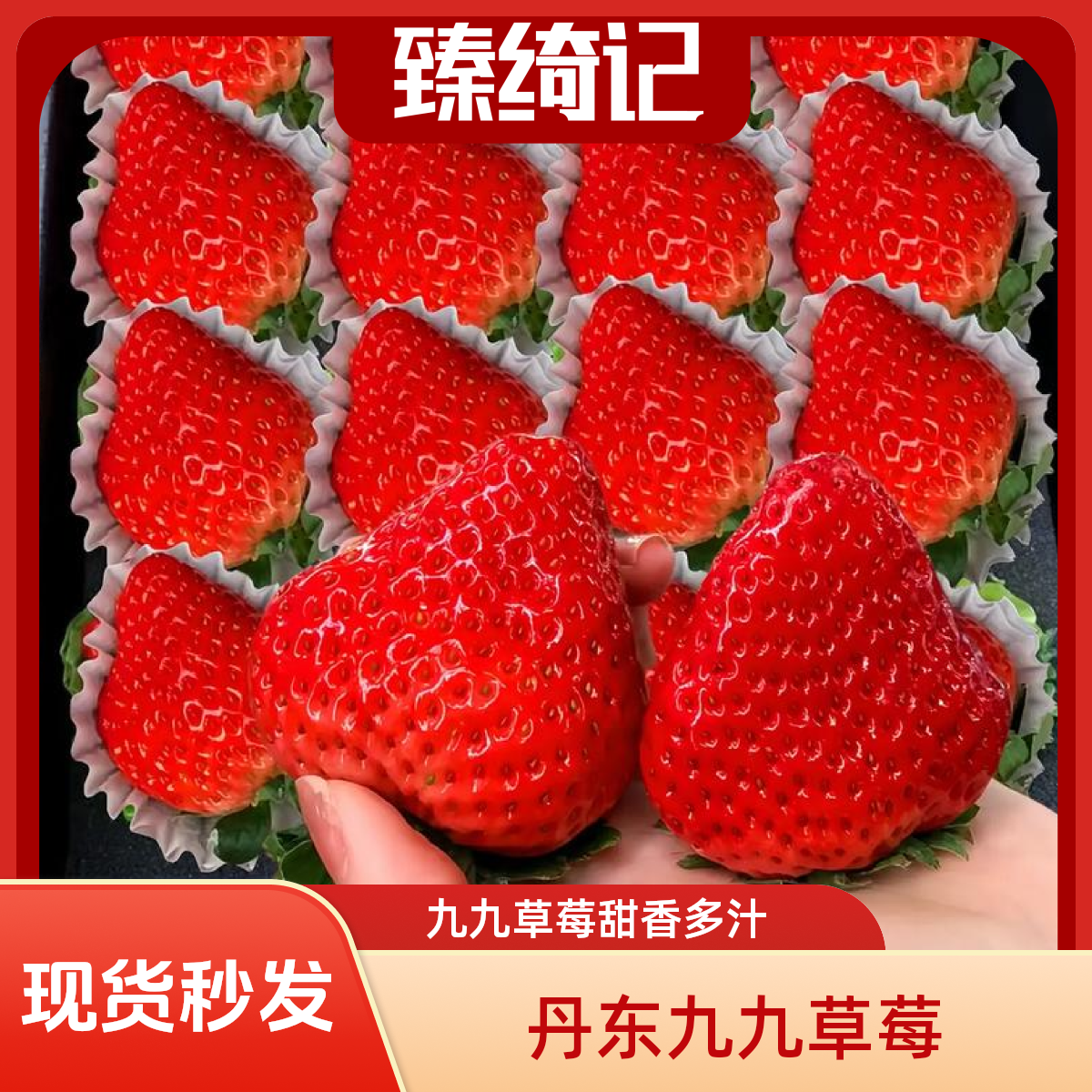 【现货秒发】丹东九九草莓红颜牛奶草莓东港产地直发顺丰京东包邮