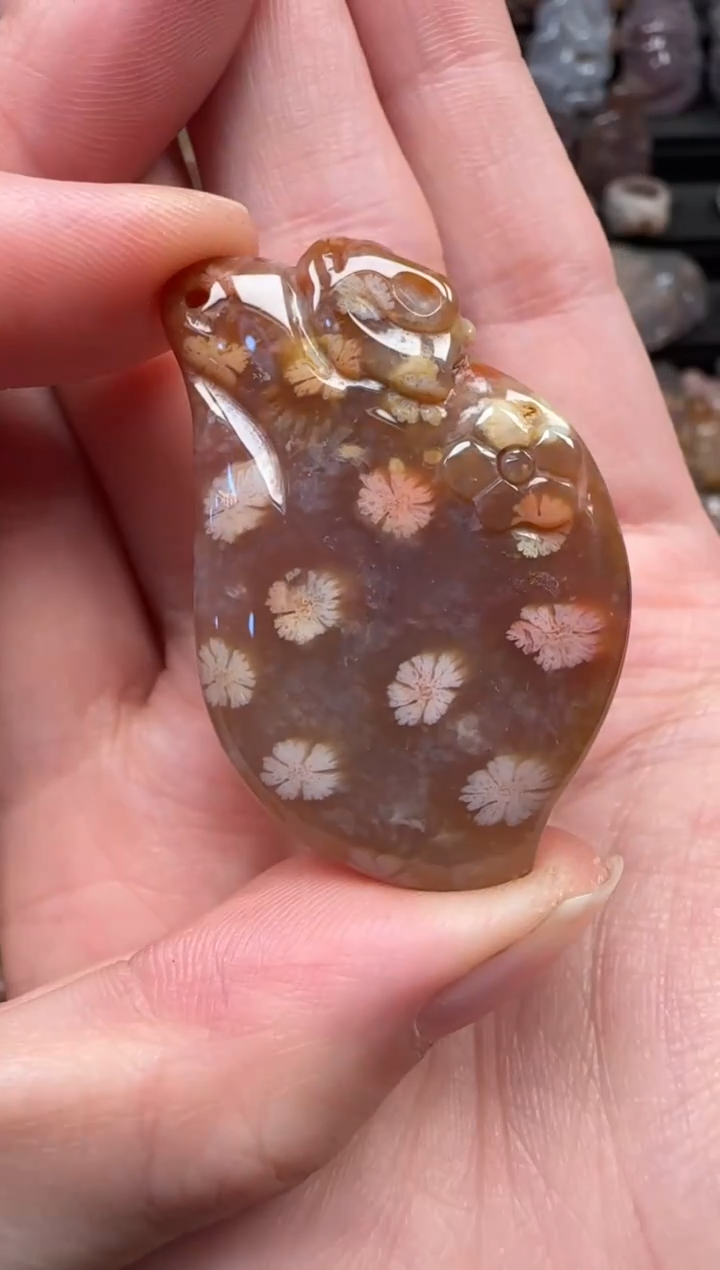 颈饰未镶嵌硅化珊瑚（珊瑚玉）395