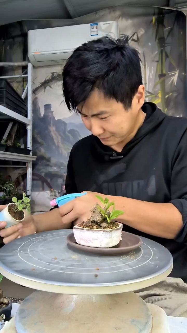 差***哥中青园艺一物一拍花116