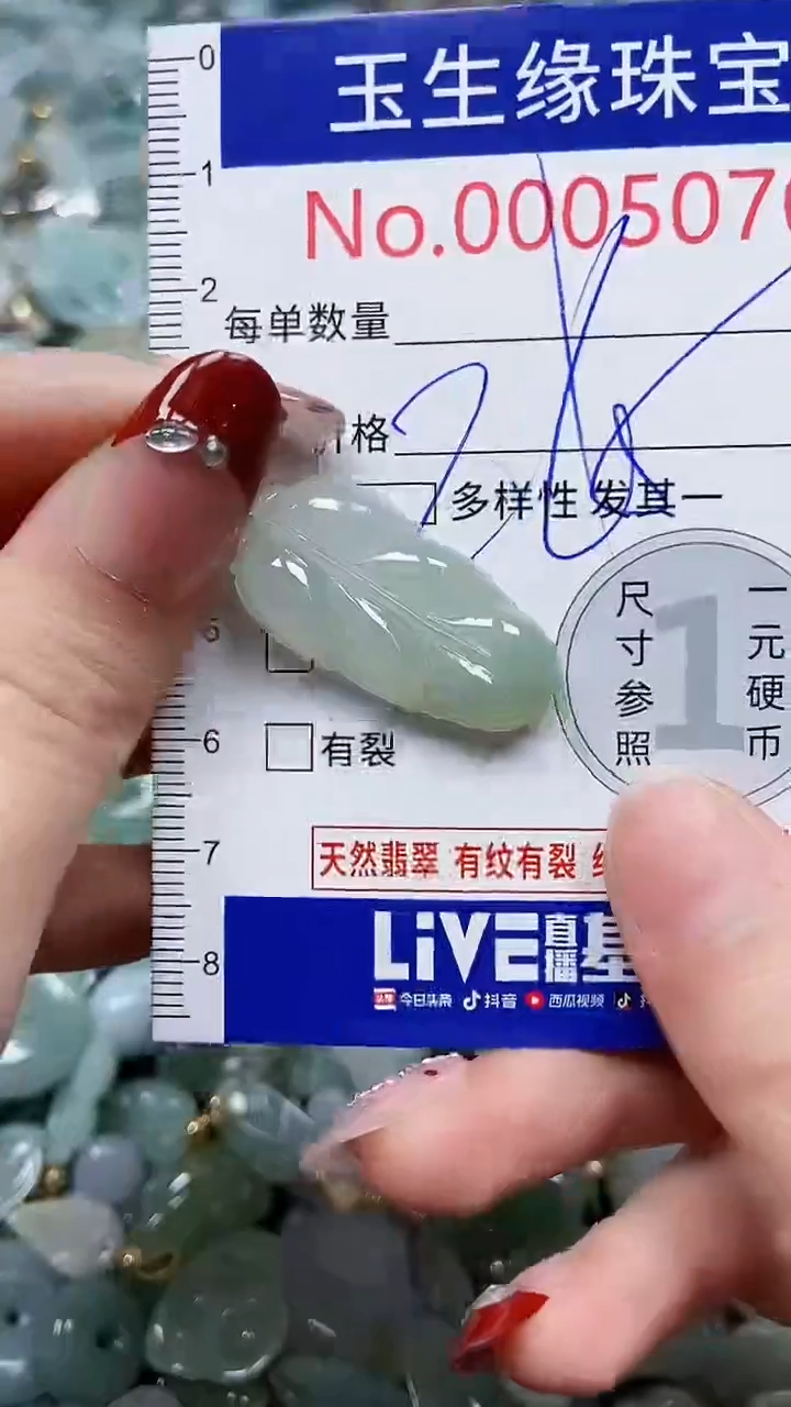 【闪购商品】翡翠颈饰未镶嵌闪购00005070