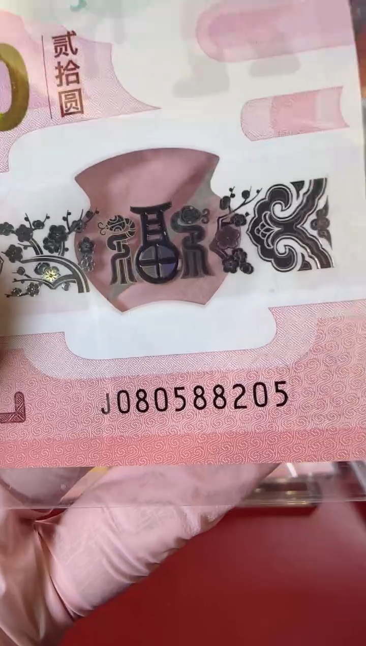 【闪购商品】塑料2025蛇钞 啊啊啊啊啊啊啊啊单张裸