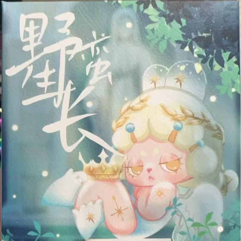 潮玩盲盒【踩后五位】