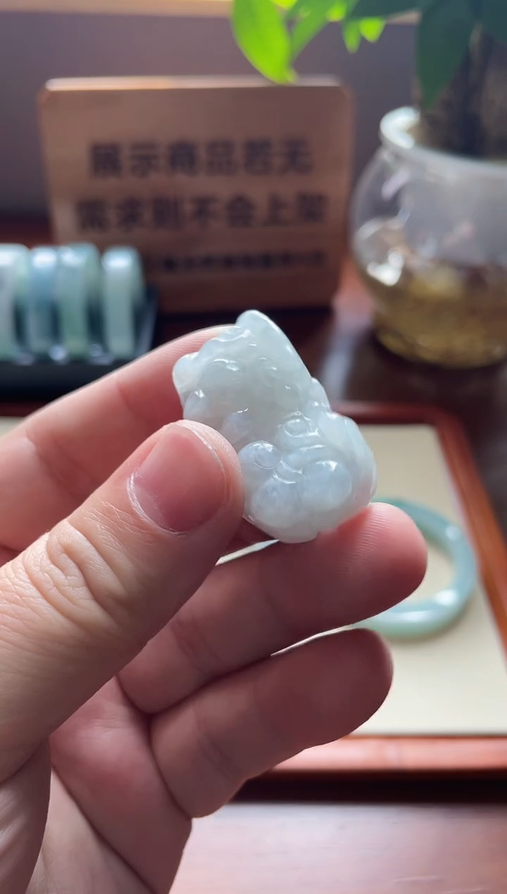 【闪购商品】翡翠颈饰未镶嵌貔貅多样性发1件